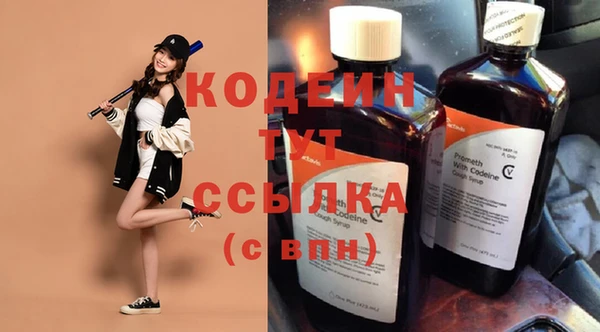 прущие грибы Коряжма