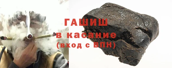 прущие грибы Коряжма