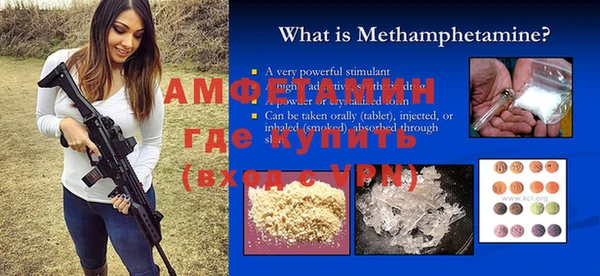 прущие грибы Коряжма