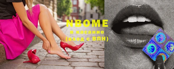 прущие грибы Коряжма