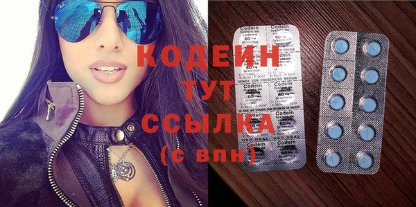 прущие грибы Коряжма