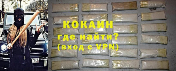 прущие грибы Коряжма