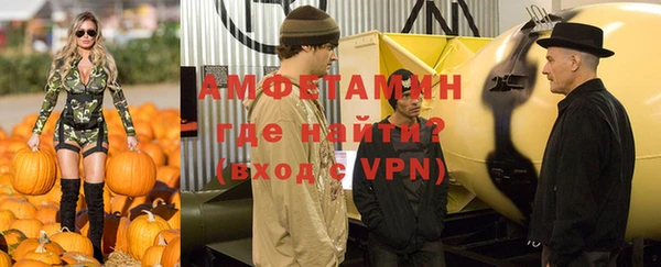 прущие грибы Коряжма
