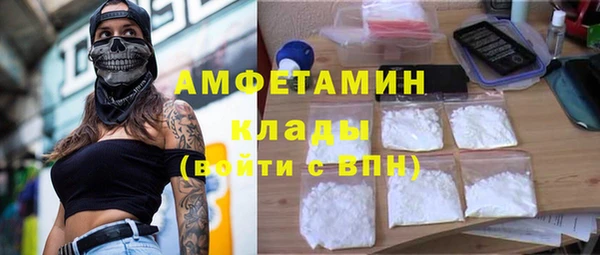 прущие грибы Коряжма