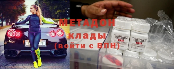 прущие грибы Коряжма