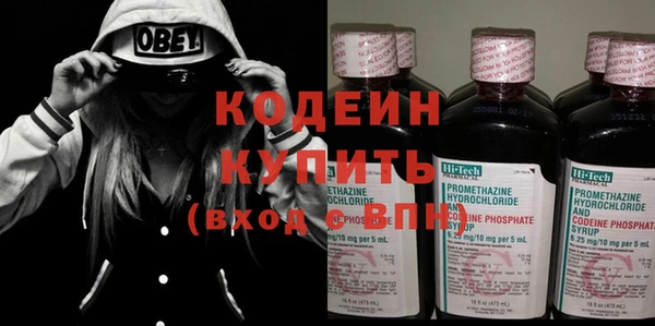 прущие грибы Коряжма